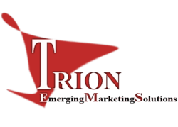 Trion EMS (2007) Group